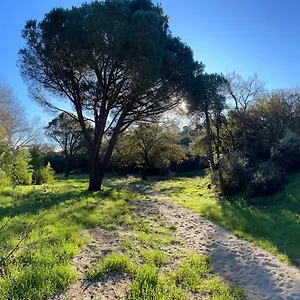 Hôtes D'azur Au Mas De Cocody Appartement Le Plan-de-la-Tour