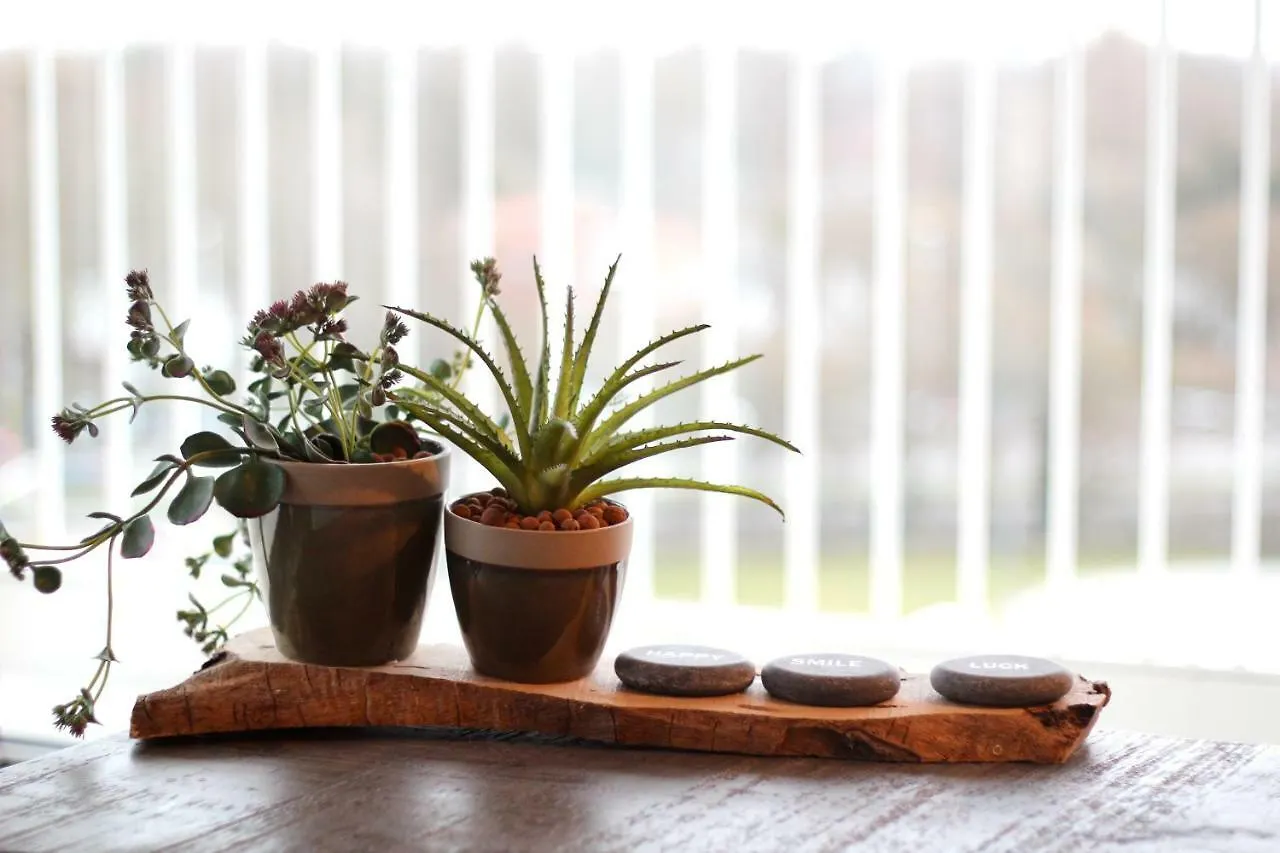 Bsauna & Wellness Apartment Bruges